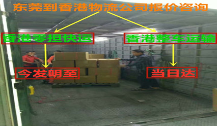 東莞到香港物流一站式解決方案,門(mén)到門(mén)運輸服務(wù)
